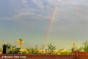 Does Arizona have palm trees is a good question. We know they do, seeing them every day. Here's what you need to know.