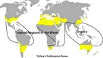 World map outlining the tropics and subtropics