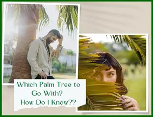 WhichPalmTree.jpg