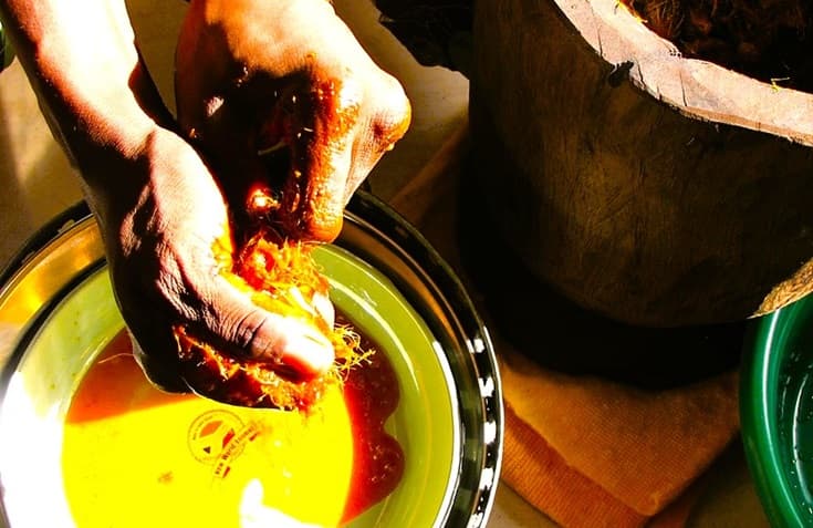 hands of a person manipulating African Oil Palm Fruit to extract the oil into a bowl