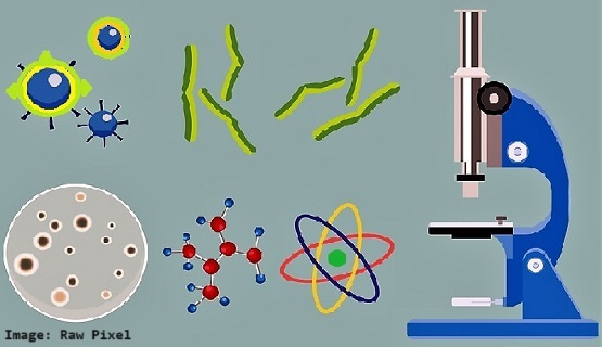 Studying allergens by using a microscope