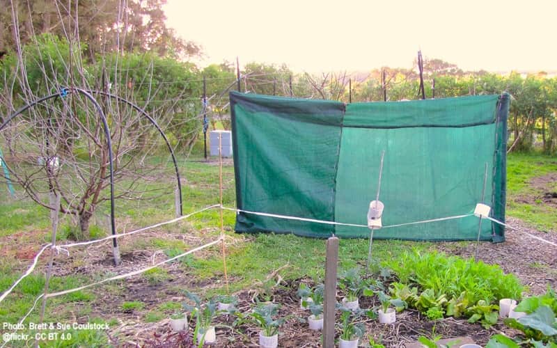 Plastic tarp used in winter for a wind break