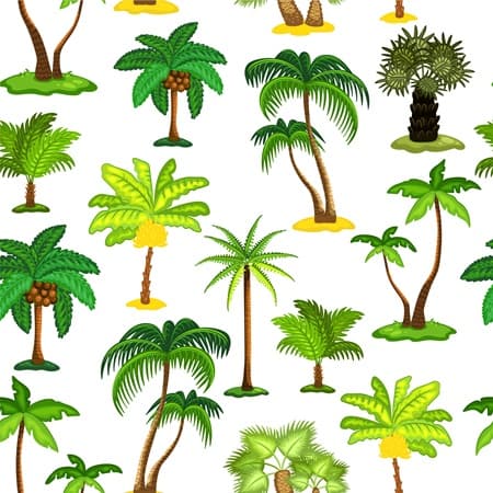 An assortment of all types of palm trees