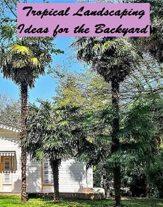 Tropical landscaping ideas for the backyard will help make it a restorative retreat. Backyard Palm Landscaping poster