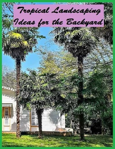 Poster about planning tropical palm trees for the backyard