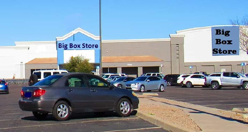 Where To Buy Palm Trees Top Tips For Success!