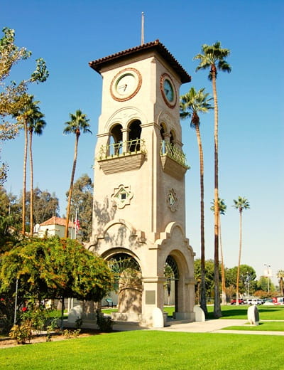 Palms surround a clock tower Palms surround a clock tower