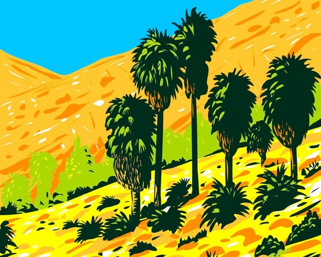 Artistic painting showing Washingtonia filifera palms on a desert hillside.