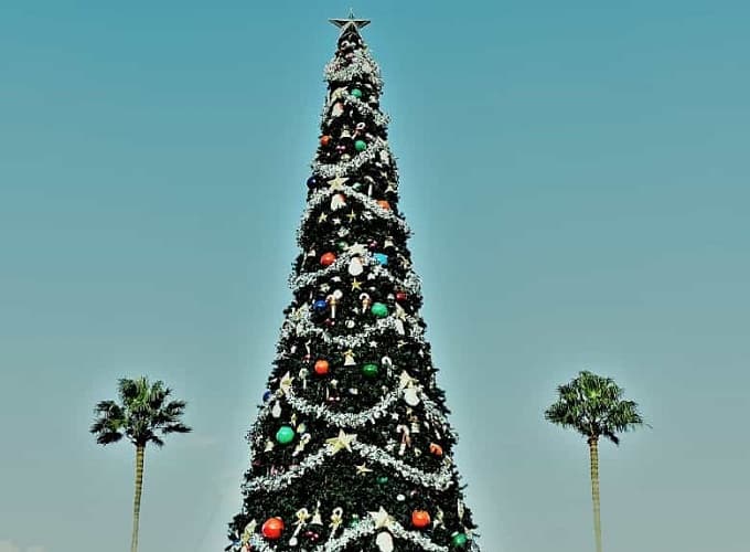 How to Decorate Palm Trees Get Unique Fun Tips