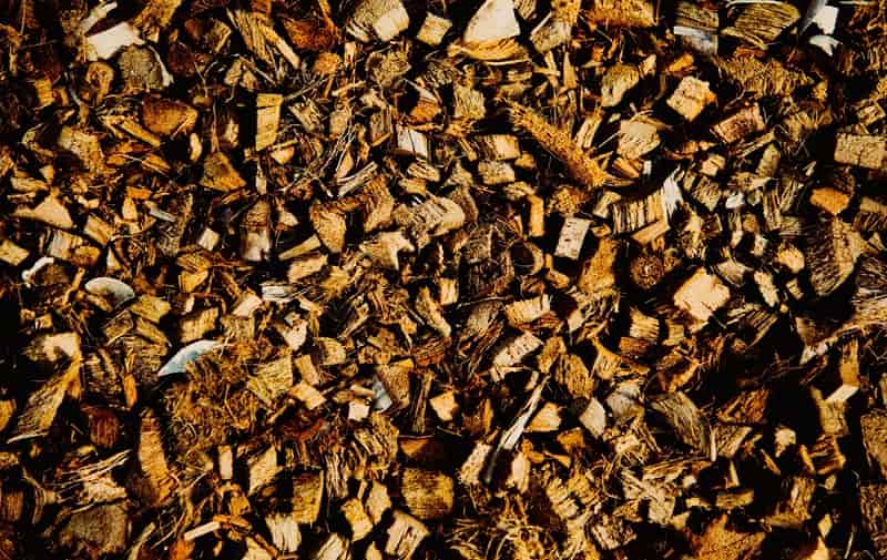 Mass of Coconut Husk Mulch