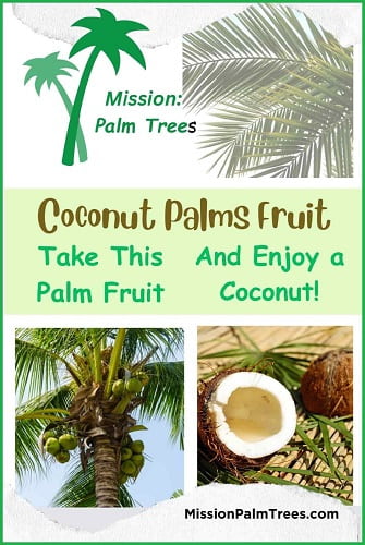poster shows some uses for coconuts, a product of palm trees