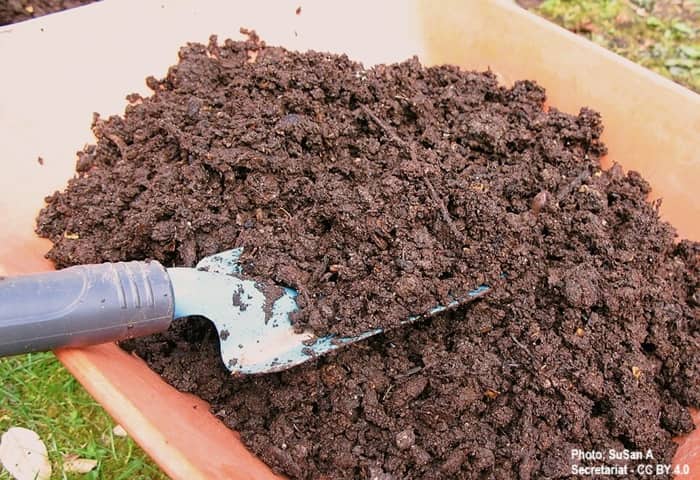 Mixture of organic humus soil for planting outdoors
