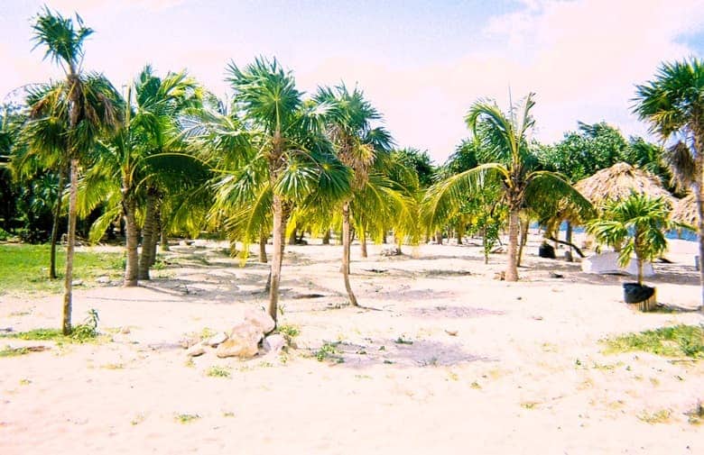 Punta Sur Ecological Beach Park