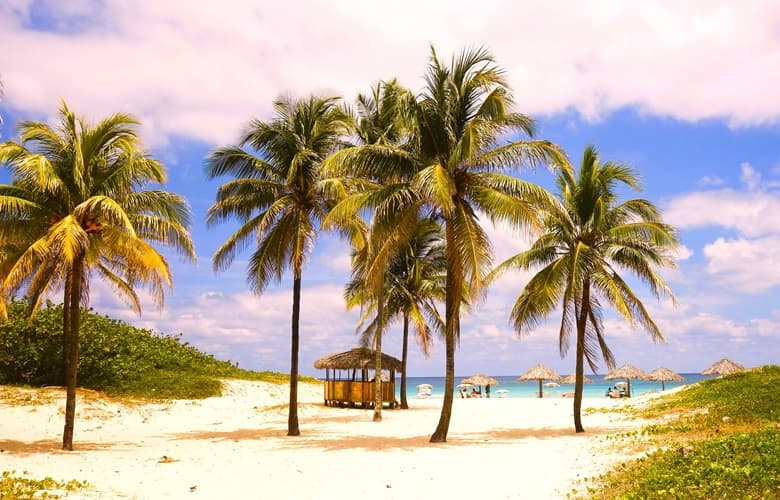 Beachside with palms in Cuba