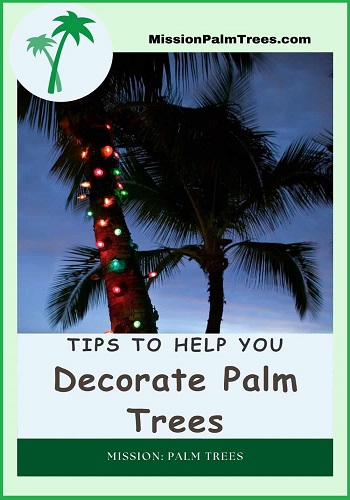 Palm Tree Stencil - Create FUN Beach Signs and Lake Decor