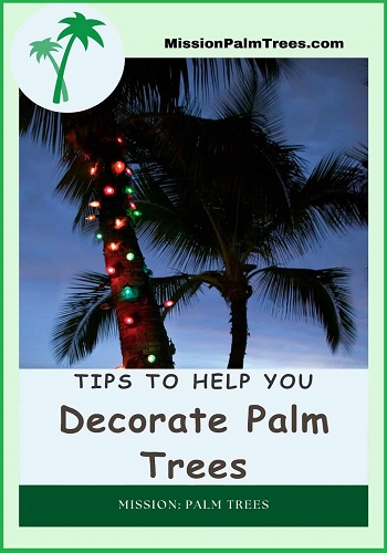 Poster advising on where to get tips to decorate a palm tree