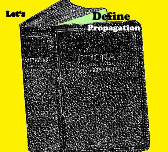 Suggestion to define propagation using a dictionary