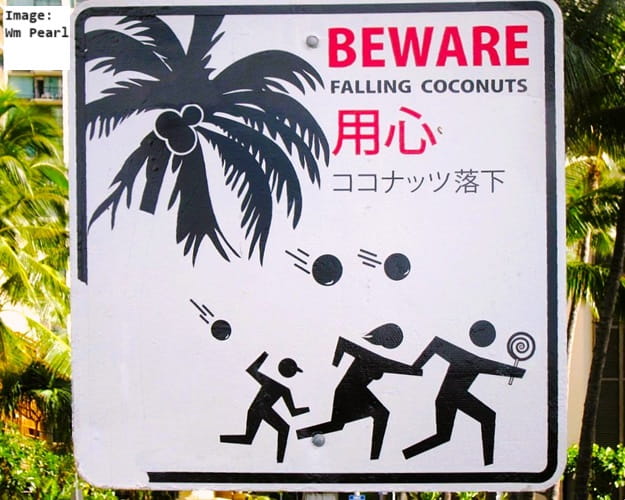 sign warning of danger of falling coconuts in the area