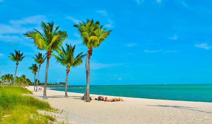 Beach with calm waters and palm trees Beach with calm waters and palm trees