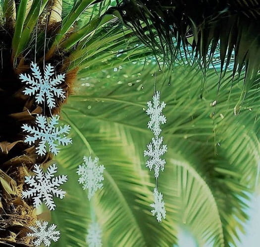 DIY Palm Tree Craft Balmy Palm Fun For All Ages!