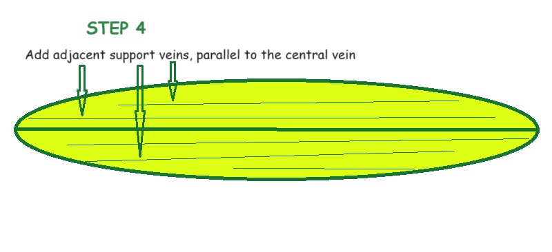 Process of drawing a palm frond