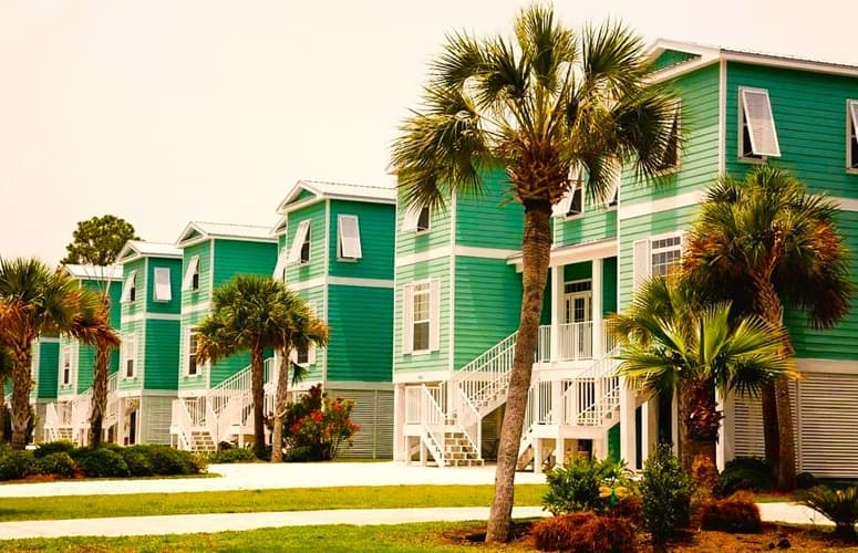 Multiple homes along a street with palms growing out front