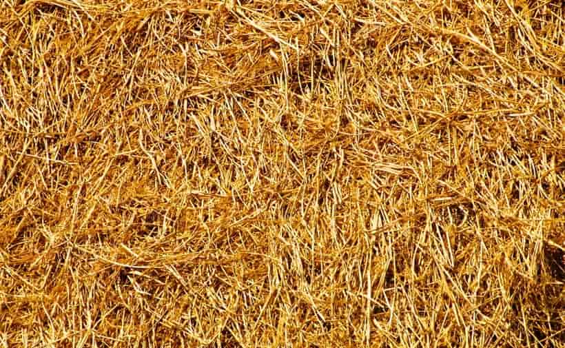 Hay formed into a mass of straw