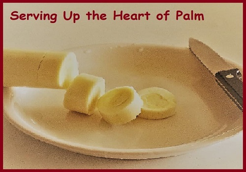 The Growing Point of some palms can be eaten. Called heart of palm. Heart Of Palm Serving