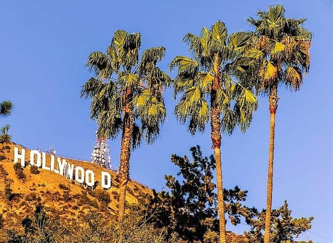 Hollywood-sign-palms_pxfuelCCO.jpg Hollywood-sign-palms_pxfuelCCO.jpg
