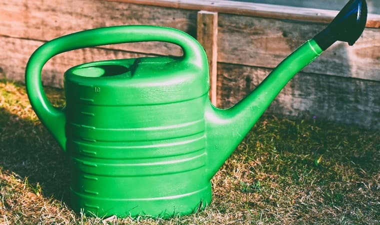 Watering can sitting on grass that needs water