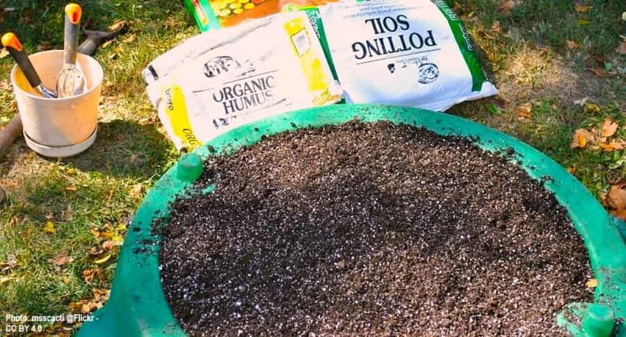 container of soil mixture from bags of humus and potting soil