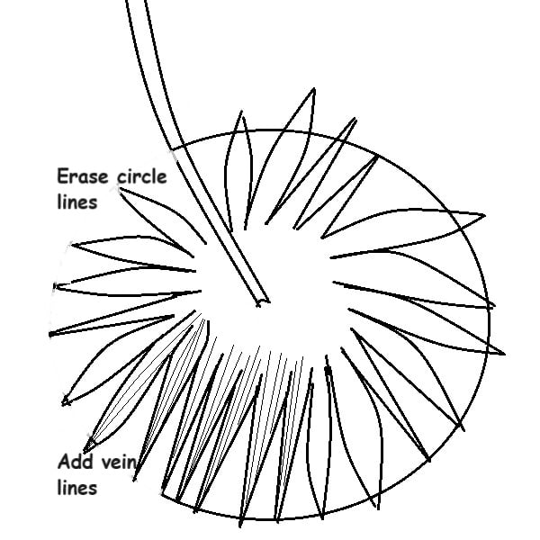 Erasing fan palm areas to effect the zigzags Erasing fan palm areas to effect the zigzags