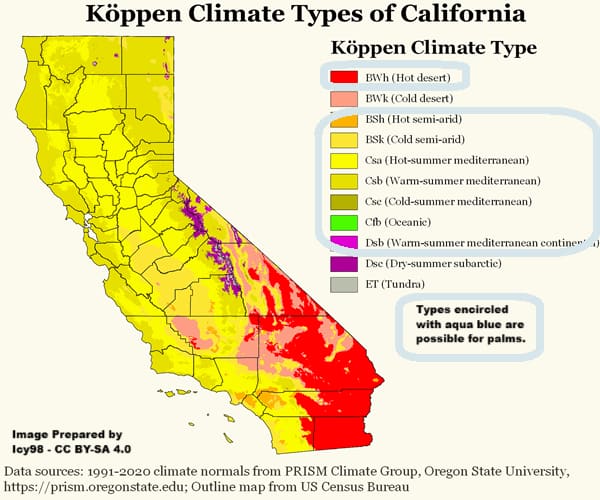 Map outlining climates in California with a key telling where palms can grow Map outlining climates in California with a key telling where palms can grow