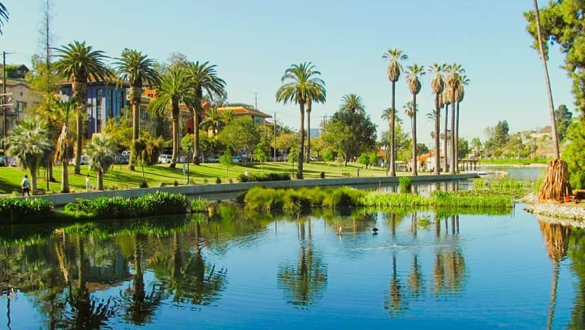 Palm Trees through the grounds aside the lake in Echo Park, Los Angeles