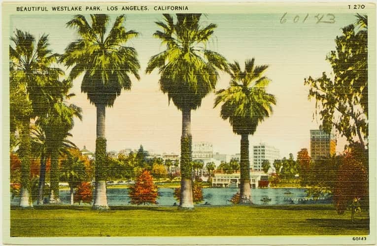 Vintage post card of a park in Los Angeles, with palm trees around a lake