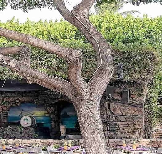 tables set in the outdoors for a party