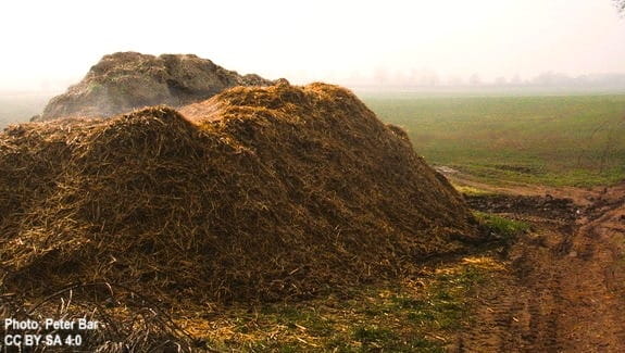 Large pile of soppy, mucky soil sitting for use on a farm