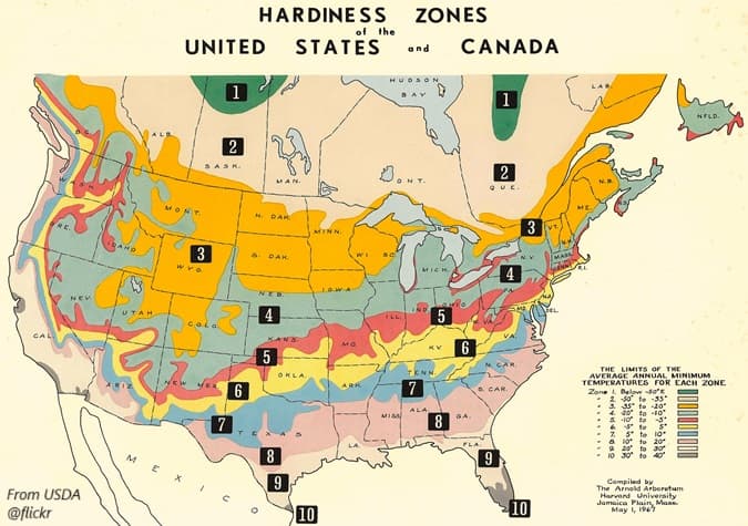 USDA map of the Hardiness growing zones in the United States and Canada