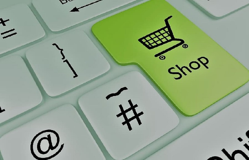 Where To Buy Palm Trees Top Tips For Success!