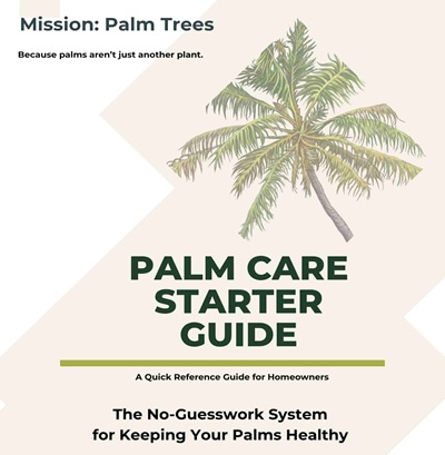 cover of a palm care guide workbook