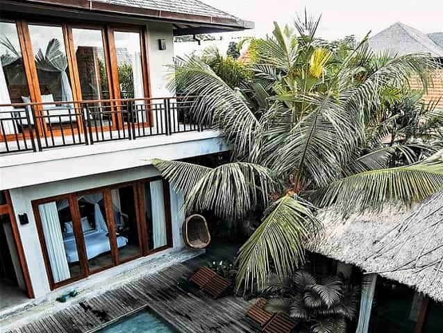 Palm tree growing too closely to buildings