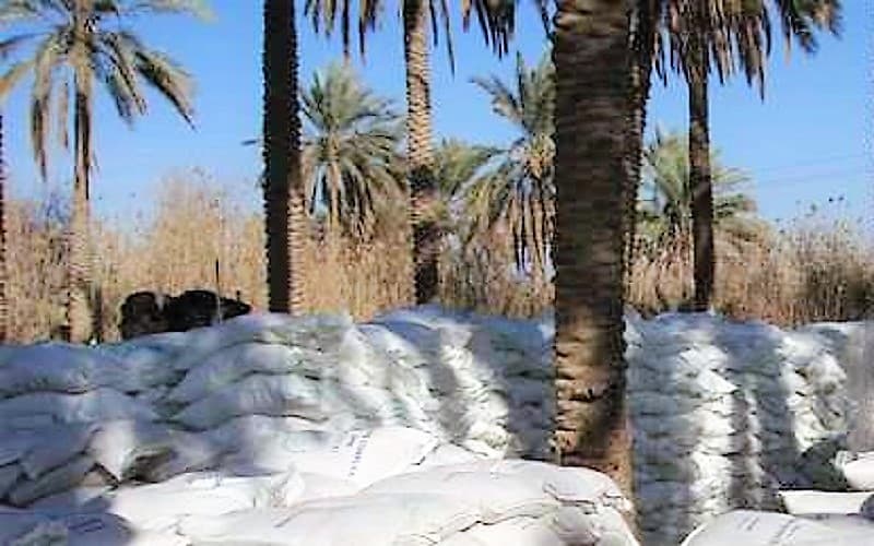 Bags of fertilizer for Palm Trees in a Palm Grove