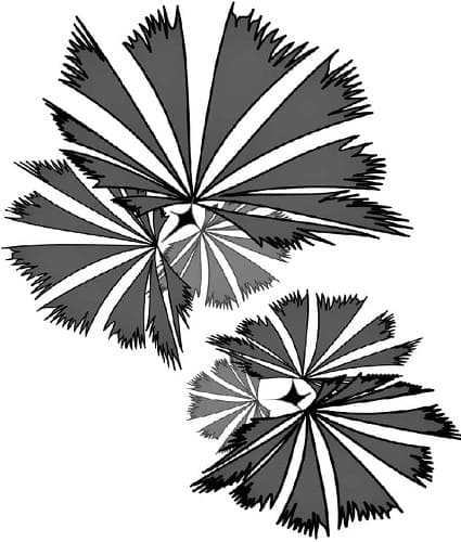Palmate fronds from palm trees come in assorted shapes. This is a wedge shaped variety. Stylized line drawing of palm fronds