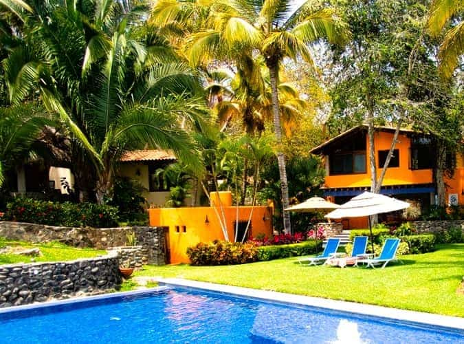 backyard pool surrounded by palm and other plants