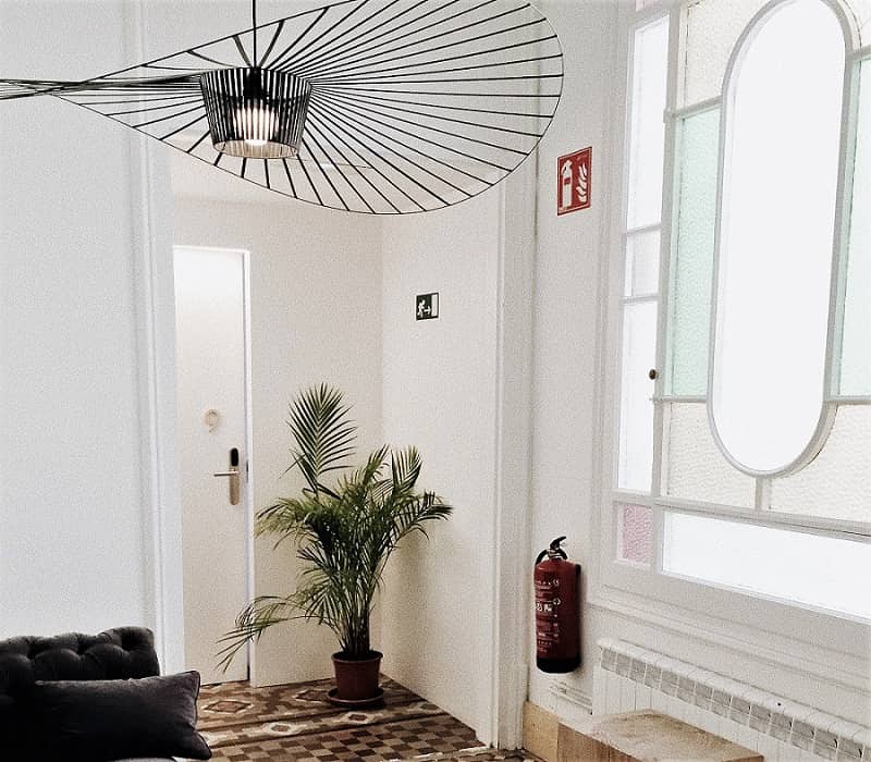 Potted Palm in a well lit room