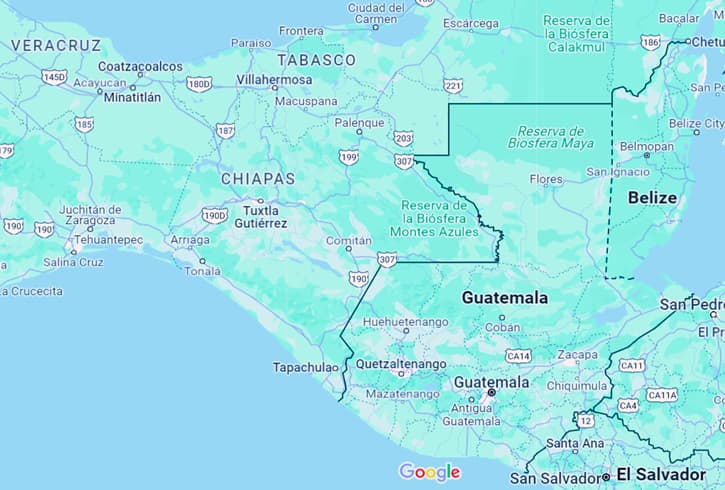 Mapping the areas where the Parlor Palm originated 