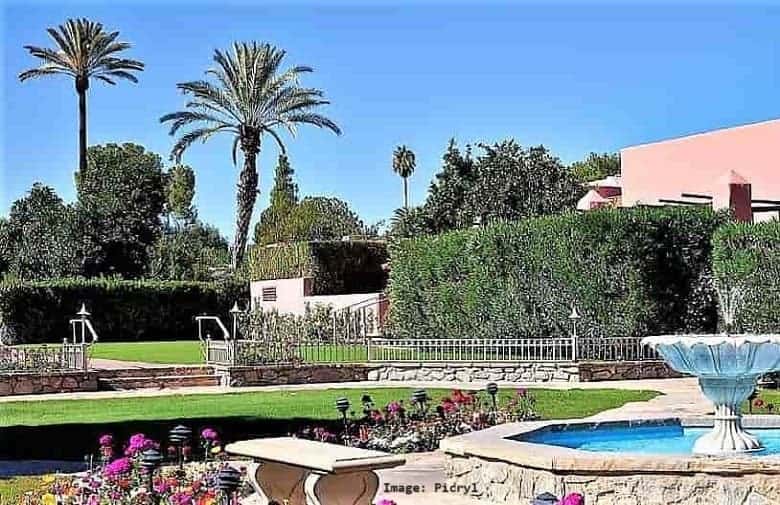 Landscaping area with fountain and palm trees