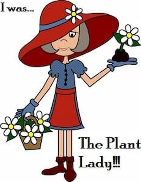 A Plant Lady was my career til I retired and began my online home business. The Plant Lady