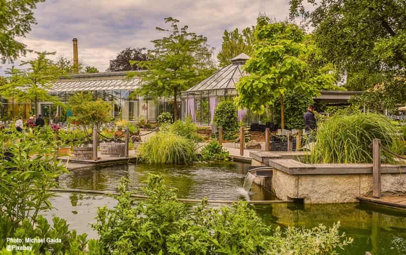 plant nursery with greenhouses