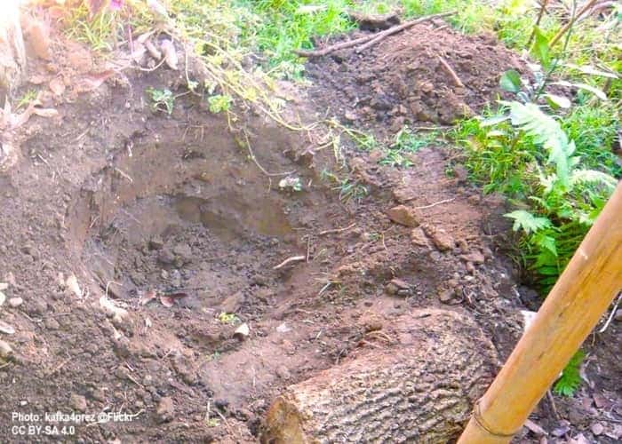 hole dug for putting in a pla